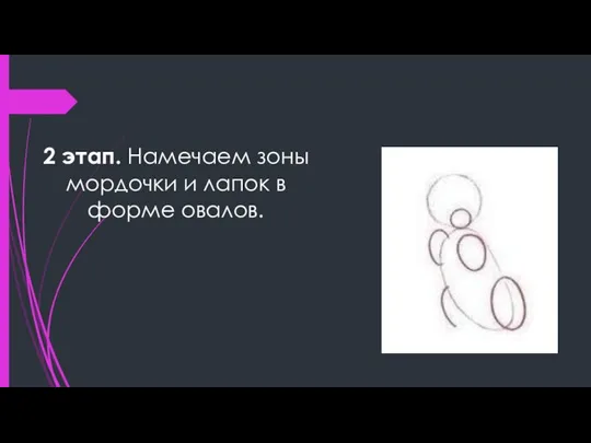 2 этап. Намечаем зоны мордочки и лапок в форме овалов.