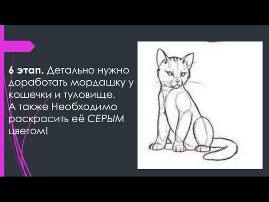 6 этап. Детально нужно доработать мордашку у кошечки и туловище. А также