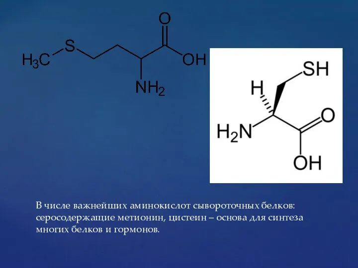 В числе важнейших аминокислот сывороточных белков: серосодержащие метионин, цистеин – основа для