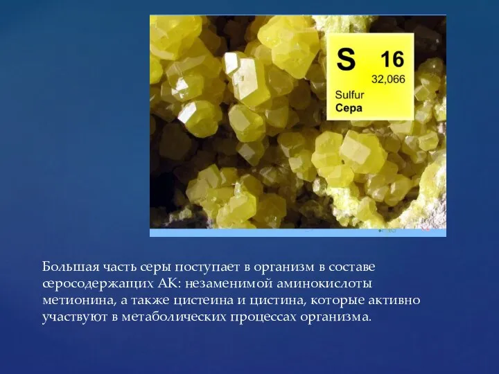 Большая часть серы поступает в организм в составе серосодержащих АК: незаменимой аминокислоты