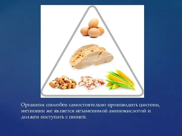 Организм способен самостоятельно производить цистеин, метионин же является незаменимой аминокислотой и должен поступать с пищей.