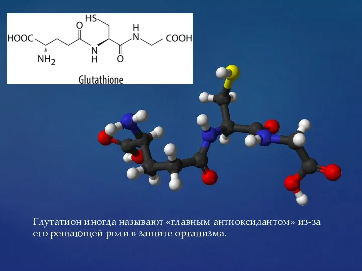 Глутатион иногда называют «главным антиоксидантом» из-за его решающей роли в защите организма.