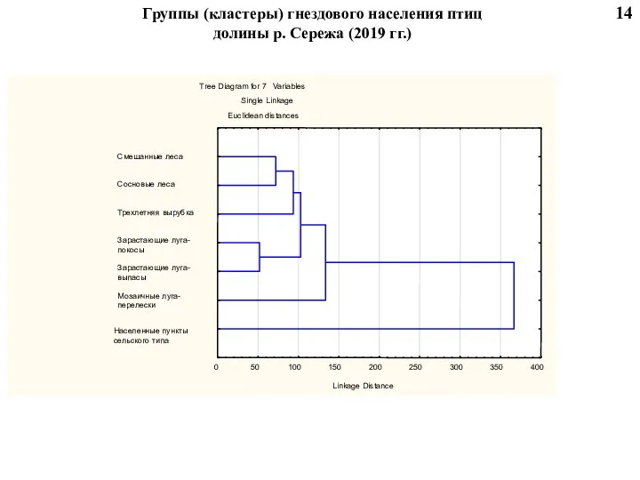 Группы (кластеры) гнездового населения птиц долины р. Сережа (2019 гг.) 14