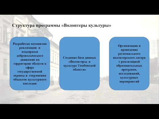 Структура программы «Волонтеры культуры» Разработка механизма реализации и поддержки добровольческого движения на