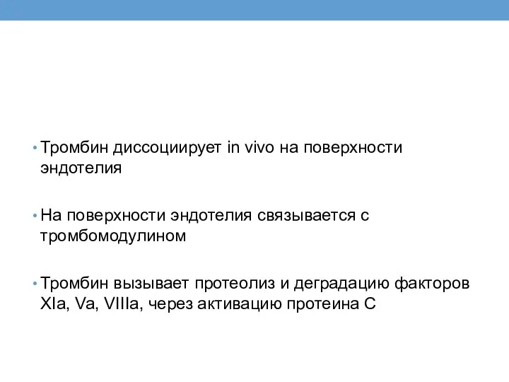 Тромбин диссоциирует in vivo на поверхности эндотелия На поверхности эндотелия связывается с