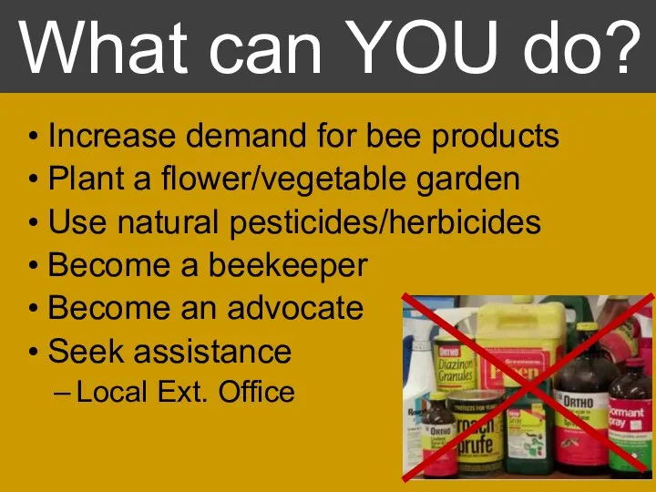 What can YOU do? Increase demand for bee products Plant a flower/vegetable
