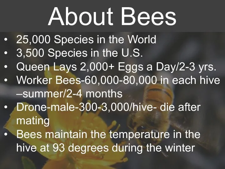 25,000 Species in the World 3,500 Species in the U.S. Queen Lays