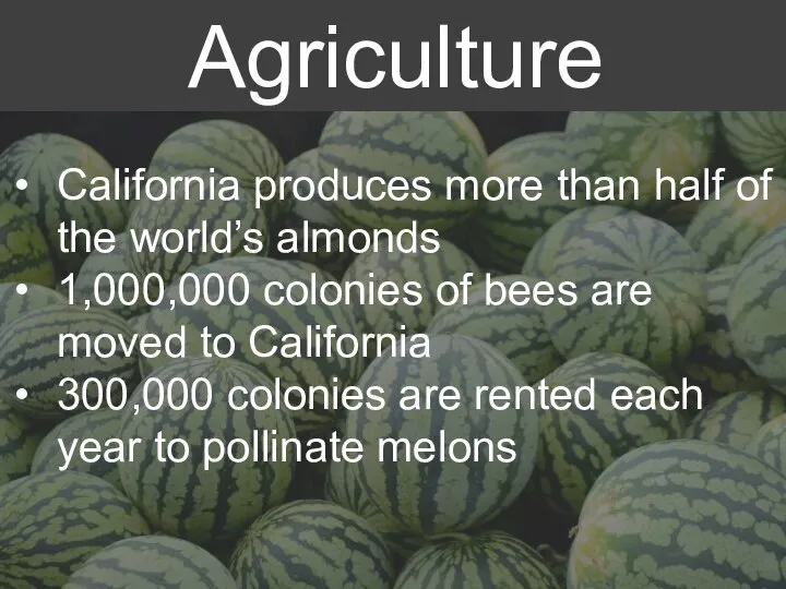 California produces more than half of the world’s almonds 1,000,000 colonies of