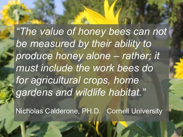 “The value of honey bees can not be measured by their ability