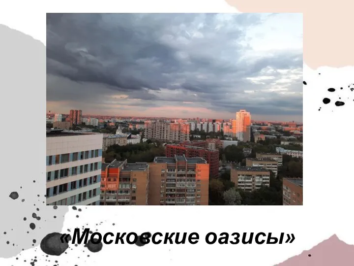 «Московские оазисы»