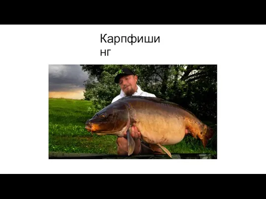 Карпфишинг