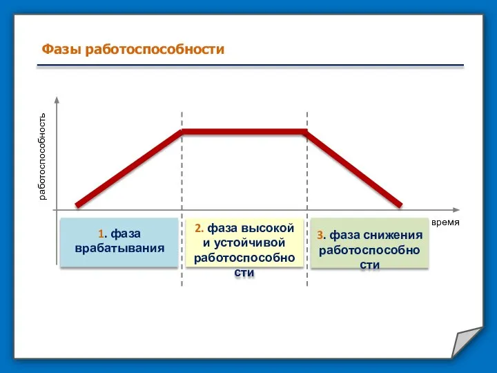 Фазы работоспособности работоспособность 2. фаза высокой и устойчивой работоспособности 1. фаза врабатывания