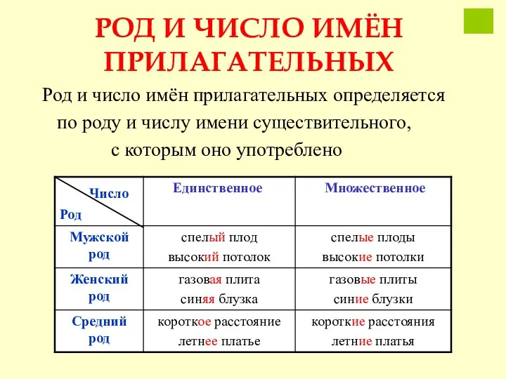 РОД И ЧИСЛО ИМЁН ПРИЛАГАТЕЛЬНЫХ Род и число имён прилагательных определяется по