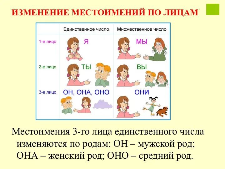 Местоимения 3-го лица единственного числа изменяются по родам: ОН – мужской род;