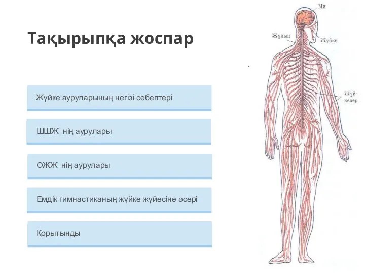 Қорытынды Емдік гимнастиканың жүйке жүйесіне әсері ОЖЖ-нің аурулары ШШЖ-нің аурулары Жүйке ауруларының негізі себептері Тақырыпқа жоспар