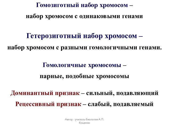 Гомозиготный набор хромосом – набор хромосом с одинаковыми генами Гетерозиготный набор хромосом