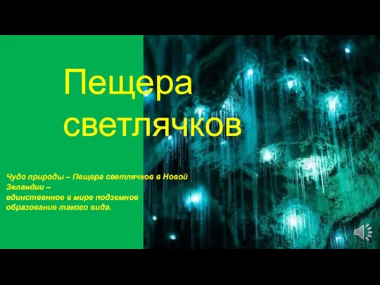 Пещера светлячков Чудо природы – Пещера светлячков в Новой Зеландии – единственное