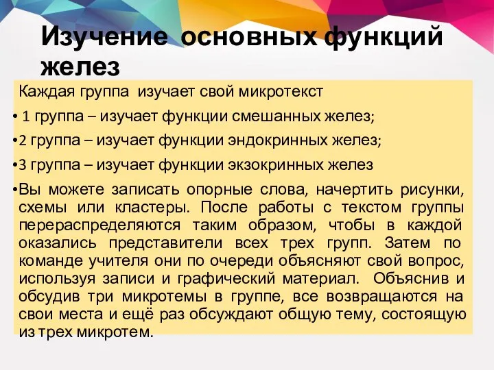 Изучение основных функций желез Каждая группа изучает свой микротекст 1 группа –