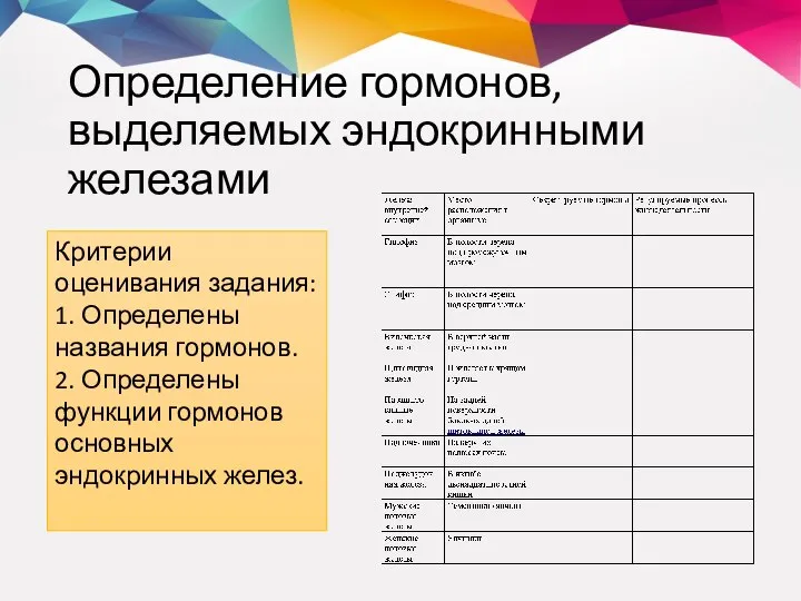 Определение гормонов, выделяемых эндокринными железами Критерии оценивания задания: 1. Определены названия гормонов.