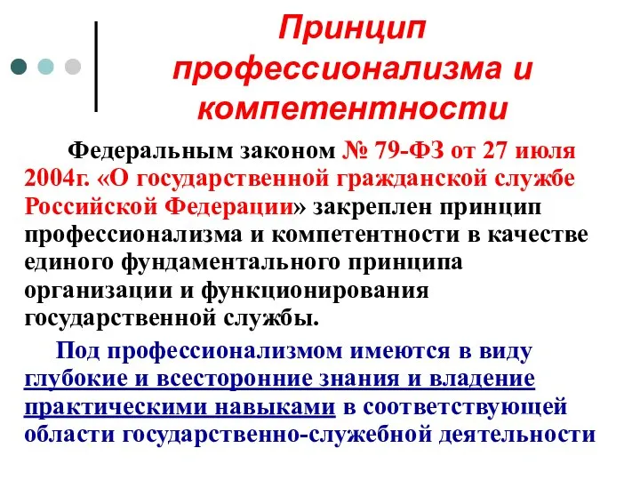 Принцип профессионализма и компетентности Федеральным законом № 79-ФЗ от 27 июля 2004г.