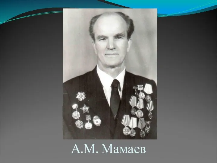 А.М. Мамаев