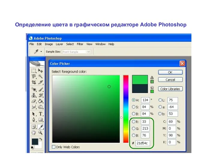 Определение цвета в графическом редакторе Adobe Photoshop