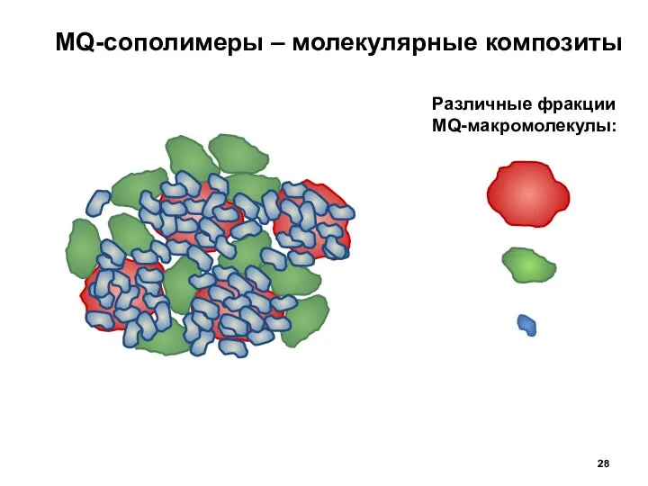 MQ-сополимеры – молекулярные композиты Различные фракции MQ-макромолекулы: