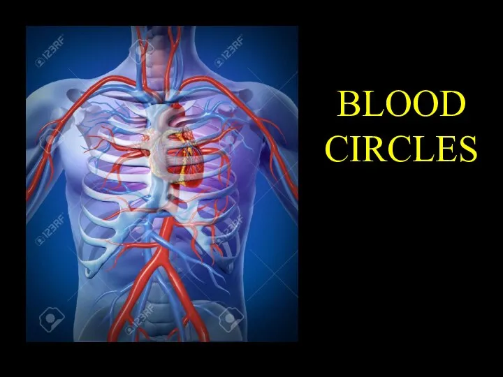 BLOOD CIRCLES