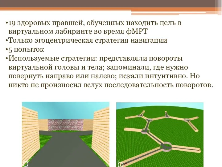 19 здоровых правшей, обученных находить цель в виртуальном лабиринте во время фМРТ