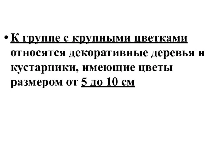 К группе с крупными цветками относятся декоративные деревья и кустарники, имеющие цветы