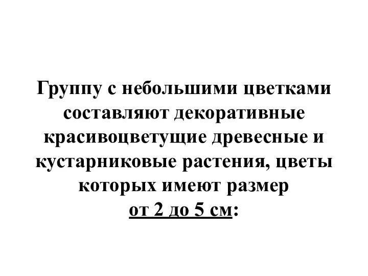 Группу с небольшими цветками составляют декоративные красивоцветущие древесные и кустарниковые растения, цветы