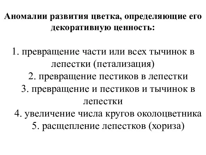 Аномалии развития цветка, определяющие его декоративную ценность: 1. превращение части или всех