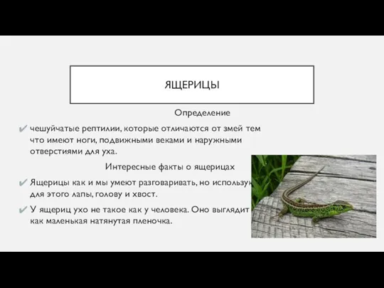 ЯЩЕРИЦЫ Определение чешуйчатые рептилии, которые отличаются от змей тем что имеют ноги,