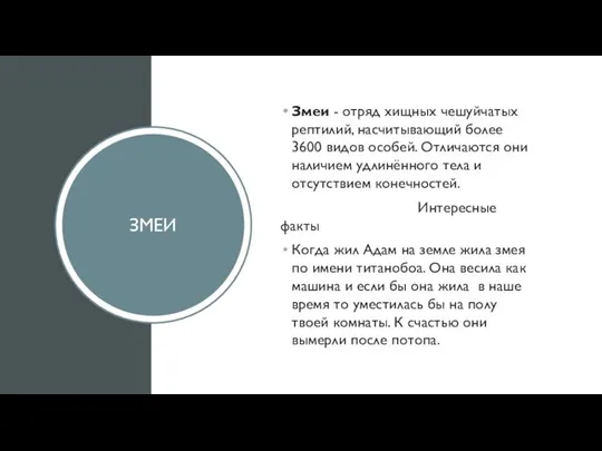 ЗМЕИ Змеи - отряд хищных чешуйчатых рептилий, насчитывающий более 3600 видов особей.