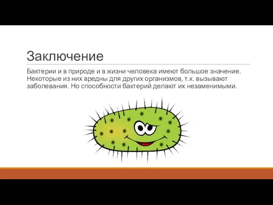 Заключение Бактерии и в природе и в жизни человека имеют большое значение.