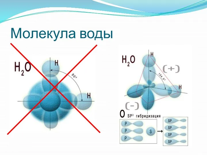 Молекула воды