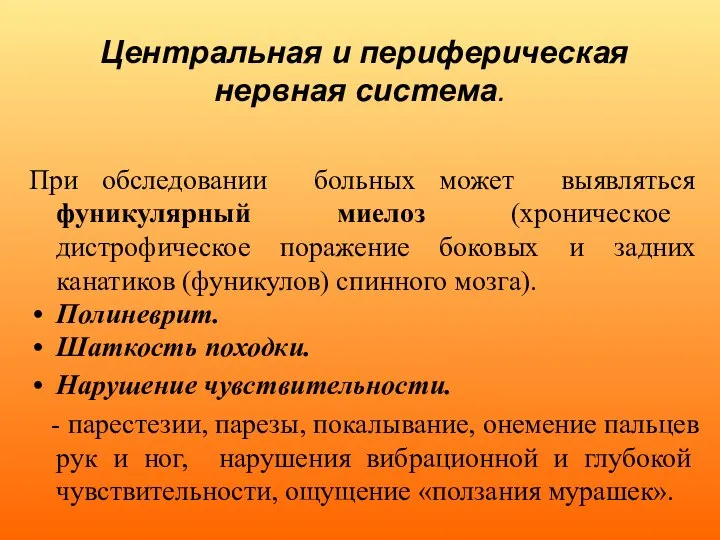 Центральная и периферическая нервная система. При обследовании больных может выявляться фуникулярный миелоз