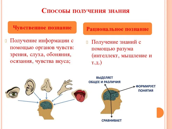 Способы получения знания Получение информации с помощью органов чувств: зрения, слуха, обоняния,