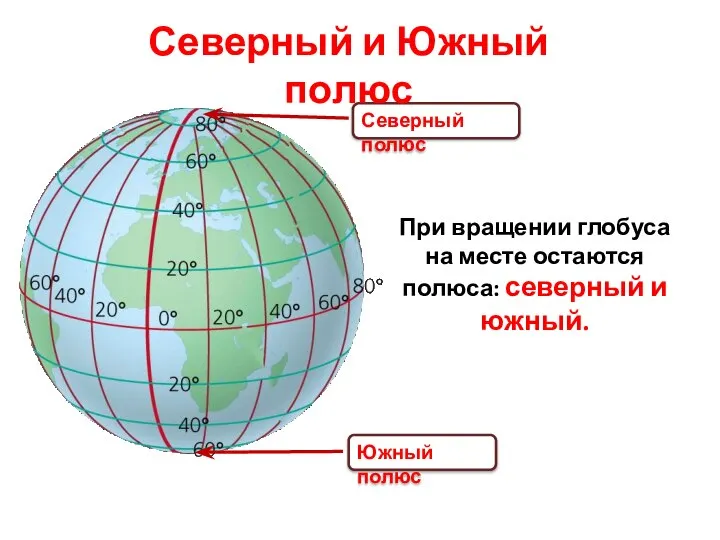 Северный полюс При вращении глобуса на месте остаются полюса: северный и южный.