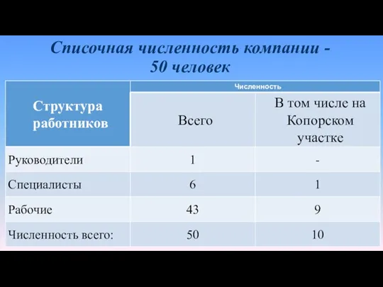 Списочная численность компании - 50 человек