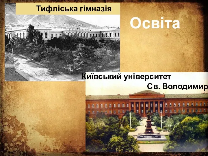 Освіта Київський університет Св. Володимира Тифліська гімназія