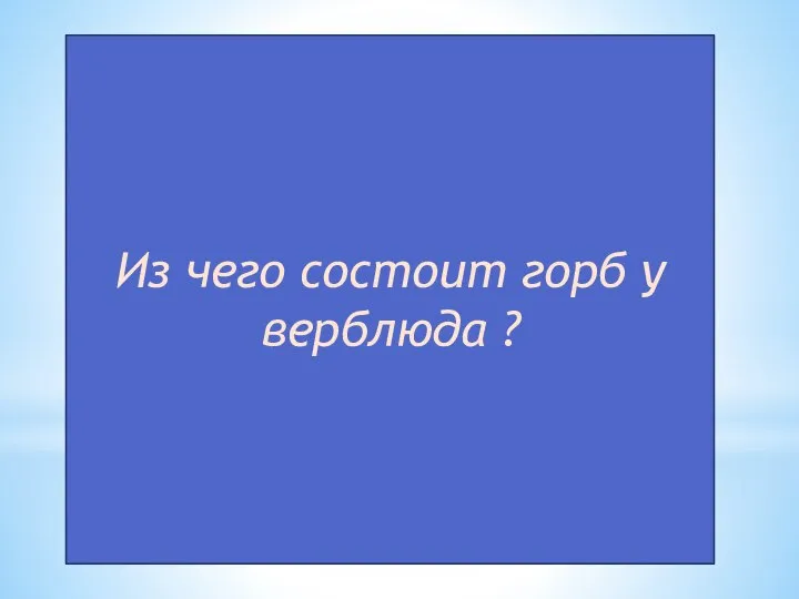 Из чего состоит горб у верблюда ?