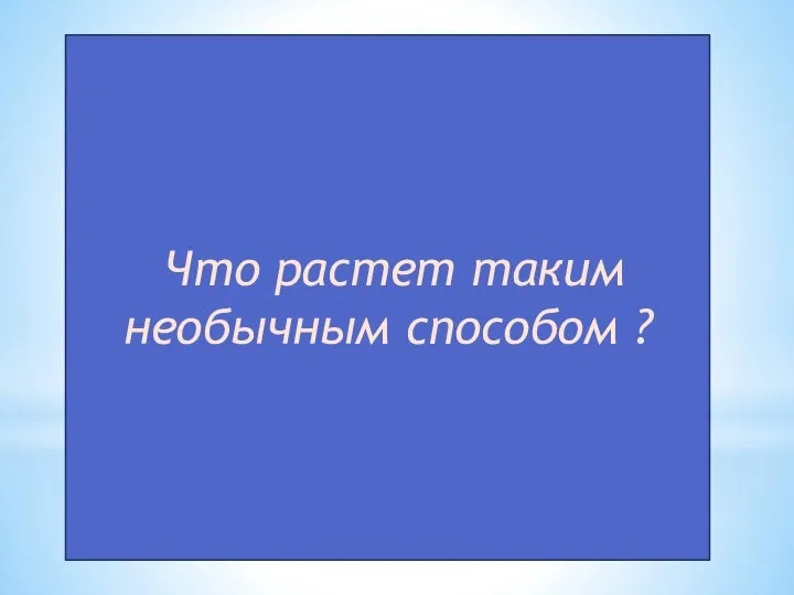 Что растет таким необычным способом ?