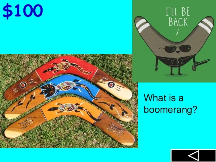 $100 What is a boomerang?