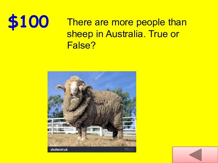 $100 There are more people than sheep in Australia. True or False?