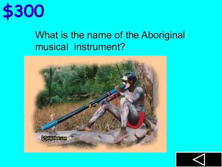 $300 What is the name of the Aboriginal musical instrument?