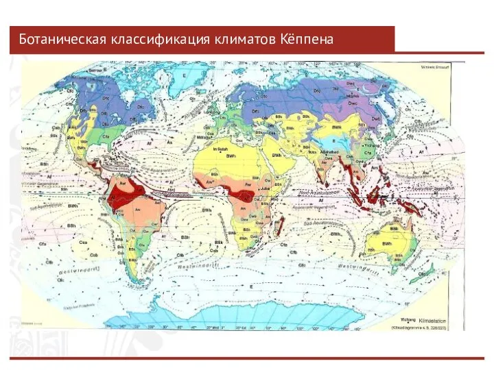 Ботаническая классификация климатов Кёппена