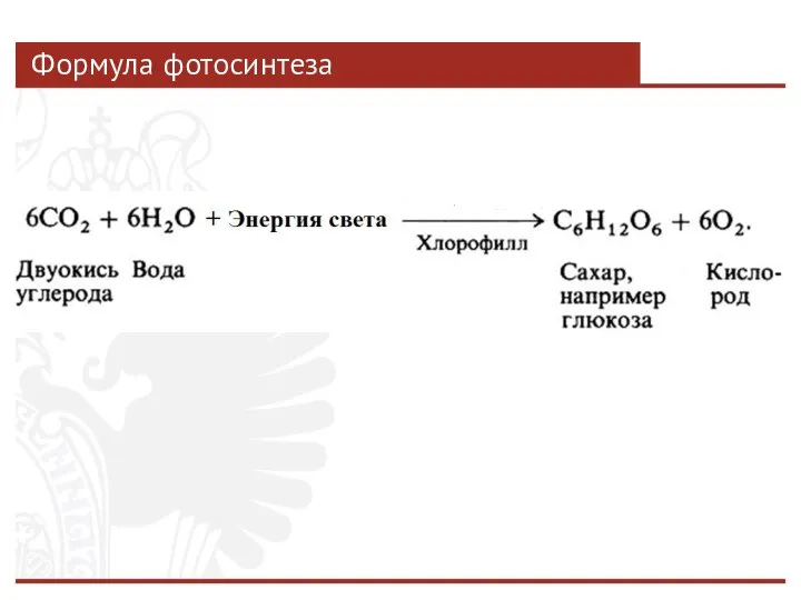 Формула фотосинтеза