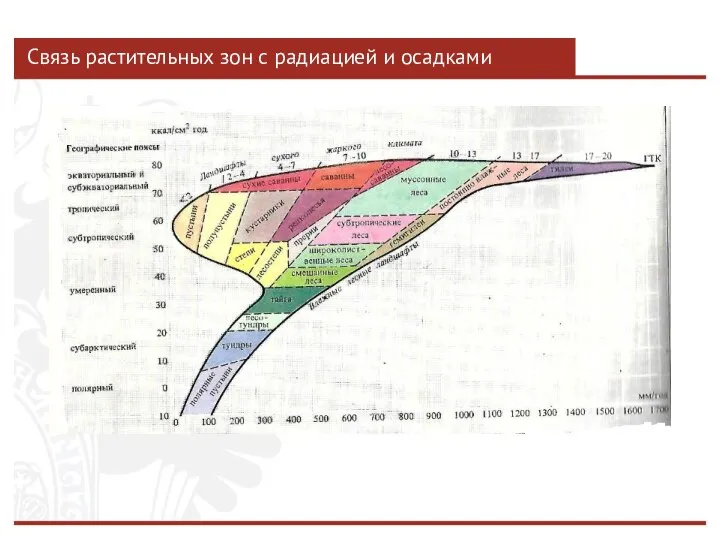 Связь растительных зон с радиацией и осадками