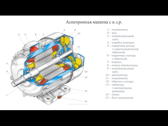 Асинхронная машина с к.з.р.